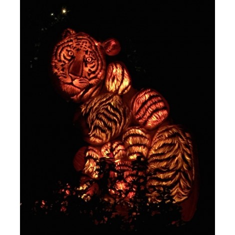 Tiger Lights Diamond Painting