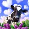 Sweet Cow And Blue Sky Diamond Painting