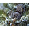 Squirrels Eat Fruit Diamond Painting