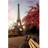 Scenery Eiffel Tower Diamond Painting