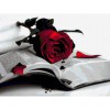 Roses And Books Diamond Painting