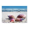 Rainbow Seashells Needlework Diamond Painting