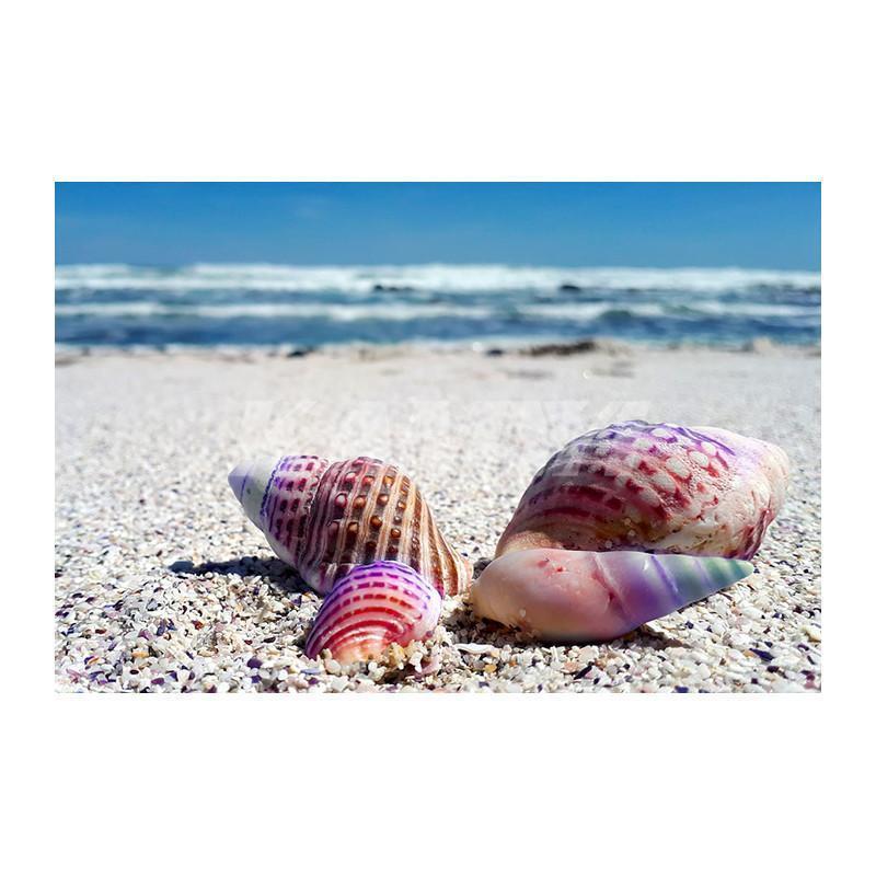 Rainbow Seashells Ne...