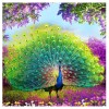 Peacock Wealth And Good Fortune Diamond Painting