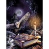 Owl Night Book Diamond Painting