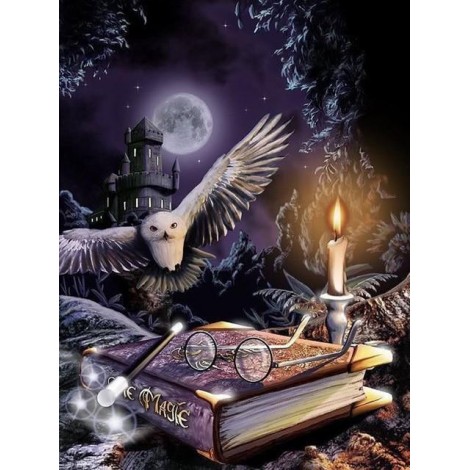 Owl Night Book Diamond Painting