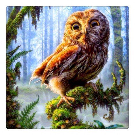 Owl Needlework Diamond Painting