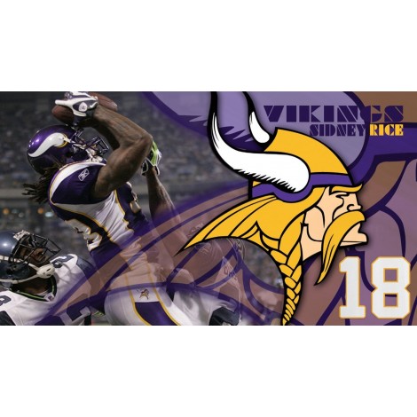 Minnesota Vikings Win Diamond Painting