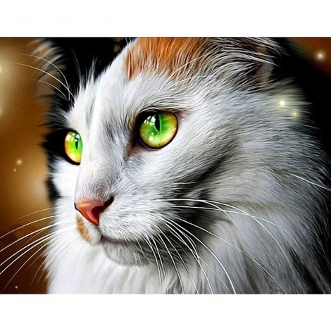 Melancholy Cat Diamond Painting