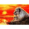 Lion And Baby Diamond Painting