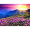 Landscape Sunrise And Purple Flower Diamond Painting