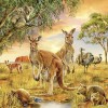 Kangaroo Love Diamond Painting