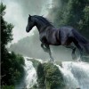 Horse Waterfall Diamond Painting