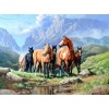 Horse On The Grass Diamond Painting