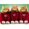 Ho Ho Ho Cat Christmas Diamond Painting