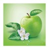 Green Apple Diamond Painting