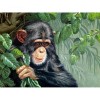 Gorilla Baby Diamond Painting