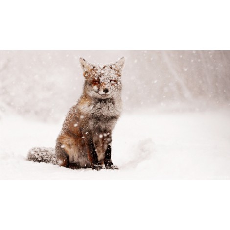 Fox In The Snow Diamond Painting