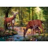 Deer in the forest drinking water Diamond Painting