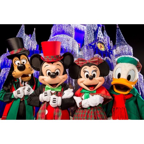 Christmas Mickey Minnie Donald Goofy Diamond Painting