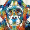 Chimp Colors Diamond Painting