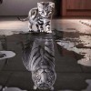 Cat Reflection Diamond Painting