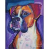 Boxer Colors Diamond Painting