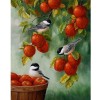 Apple Birds Diamond Painting