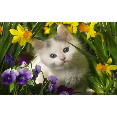 5d Cat Diamond Painting Premium-83