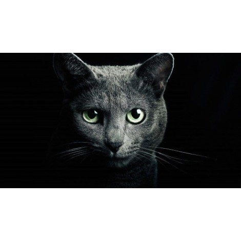 5d Cat Diamond Painting Premium-81