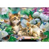 5d Cat Diamond Painting Premium-80