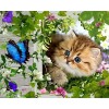 5d Cat Diamond Painting Premium-72