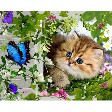 5d Cat Diamond Painting Premium-72