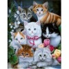 5d Cat Diamond Painting Premium-71