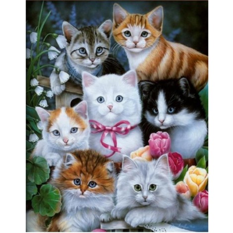 5d Cat Diamond Painting Premium-71