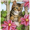 5d Cat Diamond Painting Premium-65