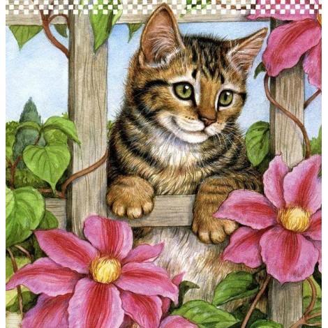 5d Cat Diamond Painting Premium-65