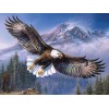 Flying Eagle Diamond Painting