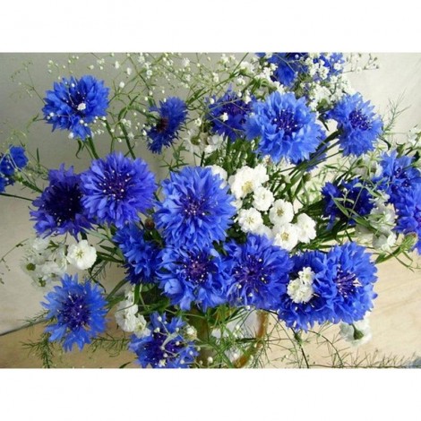 White and blue flowers Diamond Painting