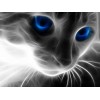 5d Cat Diamond Painting Premium-58